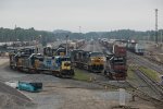 Rigby Yard